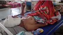 छतरपुर: वृद्ध के ऊपर भालू ने किया हमला, गंभीर हालत में अस्पताल में भर्ती