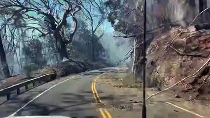 Video herunterladen: Mindestens sechs Tote bei schweren Waldbränden auf Hawaii