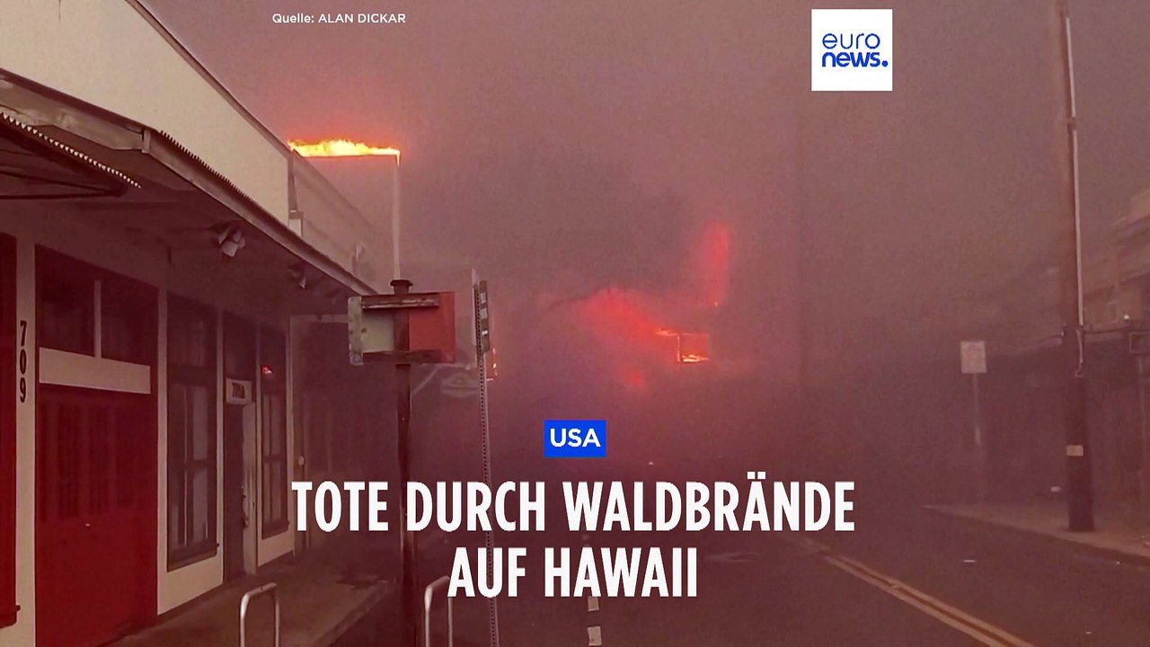 Hawaii in Flammen: Tote nach verheerenden Waldbränden