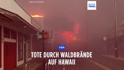 Hawaii in Flammen: Tote nach verheerenden Waldbränden
