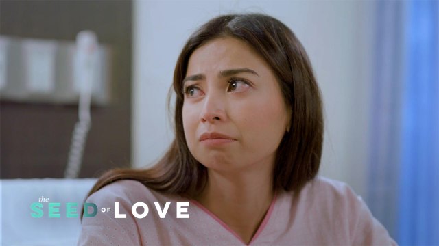 The Seed of Love: Eileen gets overly attached to her ex-husband's son! (Episode 68)