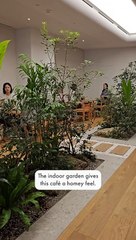 Item title - Thumbnail: We enjoyed a main character moment at this Korean café, and we want to come back!. Duration: 00:56