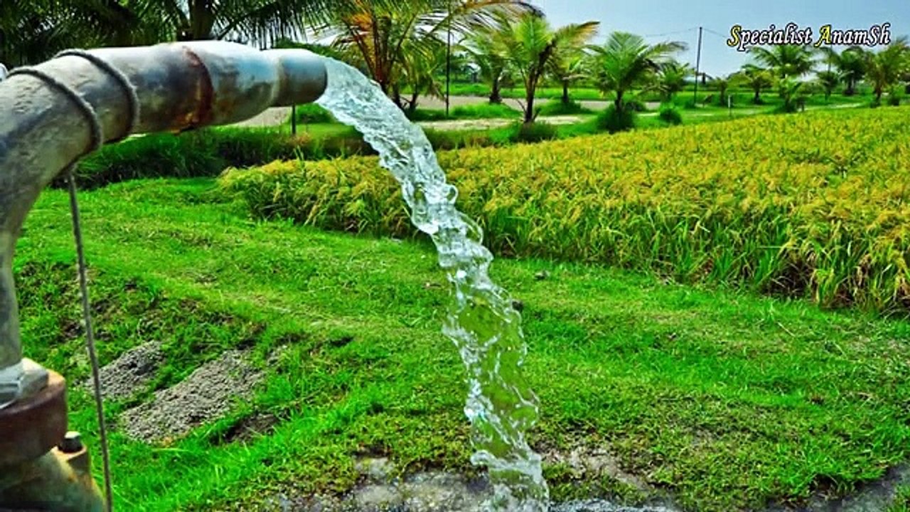 Save_Plant_Tips____Main_apne_podon_ki_kondi_kis_tarhan_karti_hon_____Poodon_ko_khobsort_banye(360p)