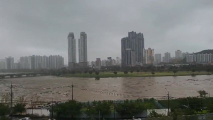 울산 태화강에 홍수주의보 발령 🚨 태풍 '카눈' 영향으로 집중 호우