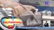 Lalaking nagtangkang magnakaw ng isang sakong bigas sa umaandar na truck, nahulog | BT