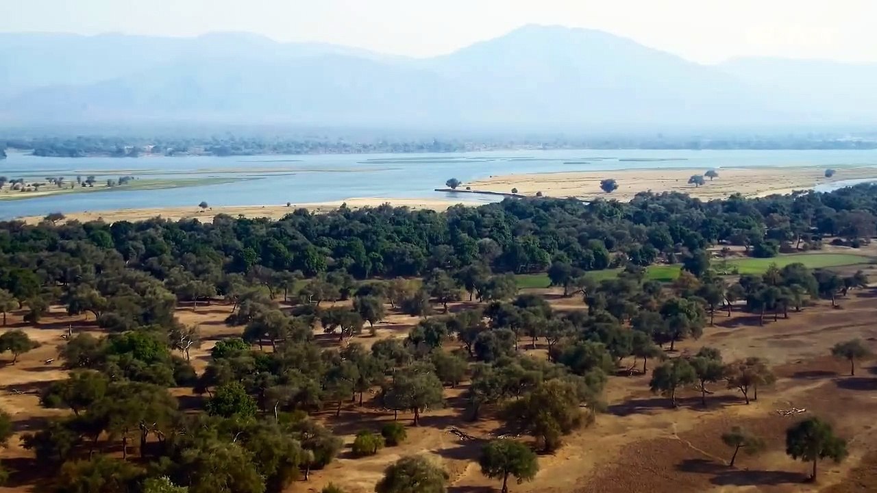 Predators Trailer OV