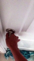 Enorme serpente spunta dal water