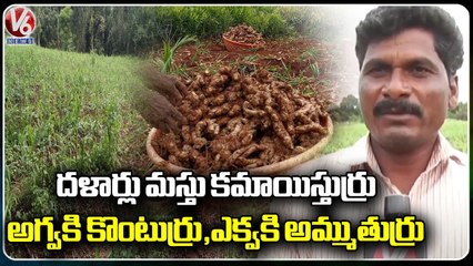 Traders Cheats Ginger Farmers   _ Zaheerabad _ Sangareddy Dist  _ V6 News