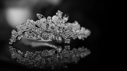 Sept candidates de Miss Univers portent plainte après avoir été forcées à se déshabiller