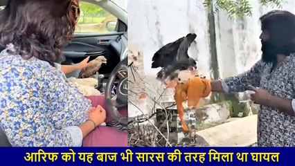 Amethi के Arif को मिला नया दोस्त 'बाज', लोगों ने कहा: 'किरदार बदले लेकिन कहानी वही