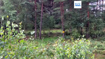 Wenn sich die Erde auftut: Polen hat ein Senkloch-Problem