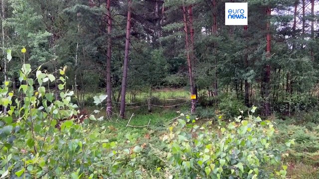 Wenn sich die Erde auftut: Polen hat ein Senkloch-Problem