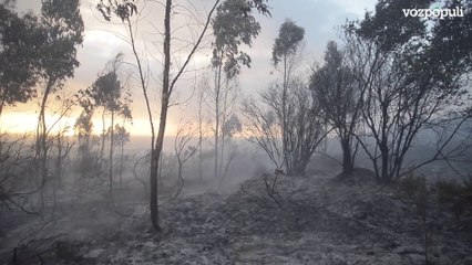 El incendio de Arteixo (A Coruña) se mantiene estabilizado