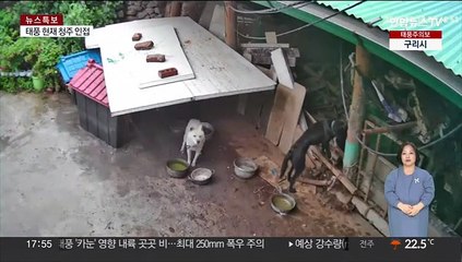 [온마이크] 주택이 와르르, 출입문은 와장창…태풍 '카눈'에 피해 속출