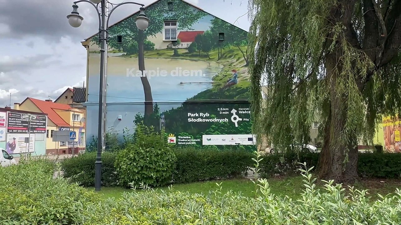BO Trzcianka