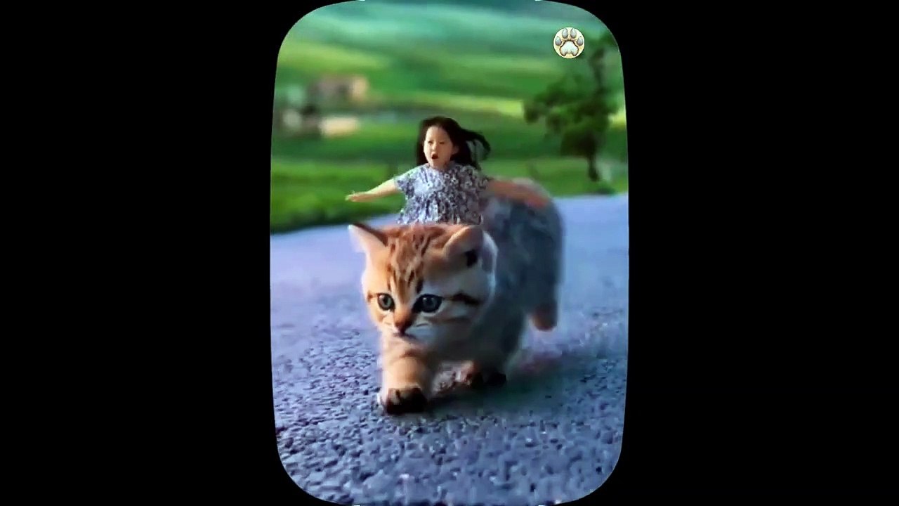 Most Beautiful Cats _ Beautiful Kittens 2023 _ Part 6