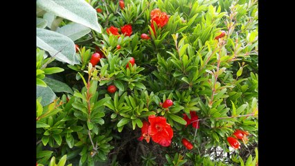 Lido di Venezia, anno 2023