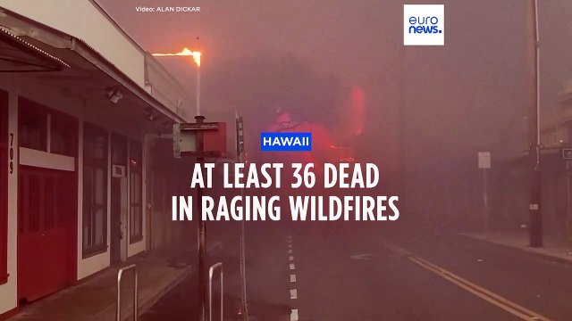 'The worst disaster I've ever seen': Residents dived into the ocean as wildfires ripped through Maui