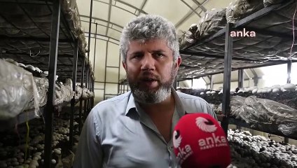 La demande de production de champignons cultivés augmente à Yozgat