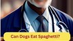 Can Dogs Eat Spaghetti | Dog Food Review | Zudaan