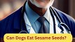 Can Dogs Eat Sesame Seeds | Dog Food Review | Zudaan
