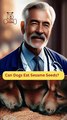 Can Dogs Eat Sesame Seeds | Dog Food Review | Zudaan