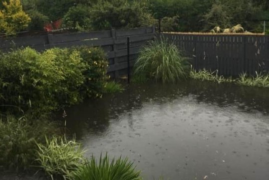 Edinburgh Headlines 10 August: Edinburgh residents plagued by sewage-flooded gardens in Easter Drylaw Drive 'terrified' of more rain