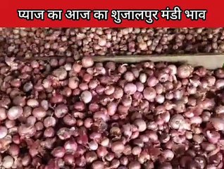 आज का प्याज का मड़ी भाव