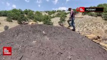 Yozgat’ta mangal kömürü işçileri, üretime devam ediyor
