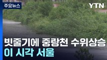 태풍 카눈 서울로 북상 중...이 시각 서울 중랑천 / YTN