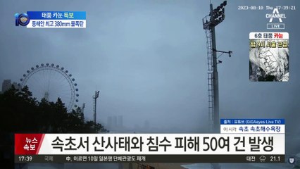 동해안 최고 380mm 물폭탄…강릉 일부는 대피령