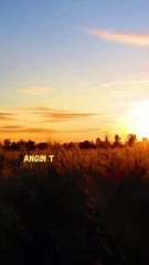 Apa Itu Angin dan Penyebabnya 🌬️