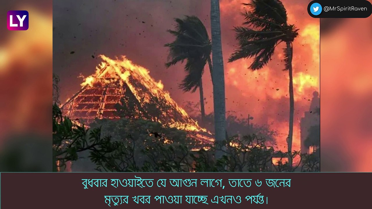 Hawaii Wildfire: জ্বলছে হাওয়াই, মৃত ৬