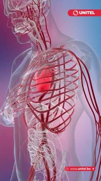 ¿Tienes el colesterol por las nubes? estos alimentos te ayudarán a bajarlo