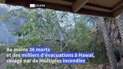 Au moins 36 morts dans l'archipel d'Hawaï, ravagé par de multiples incendies