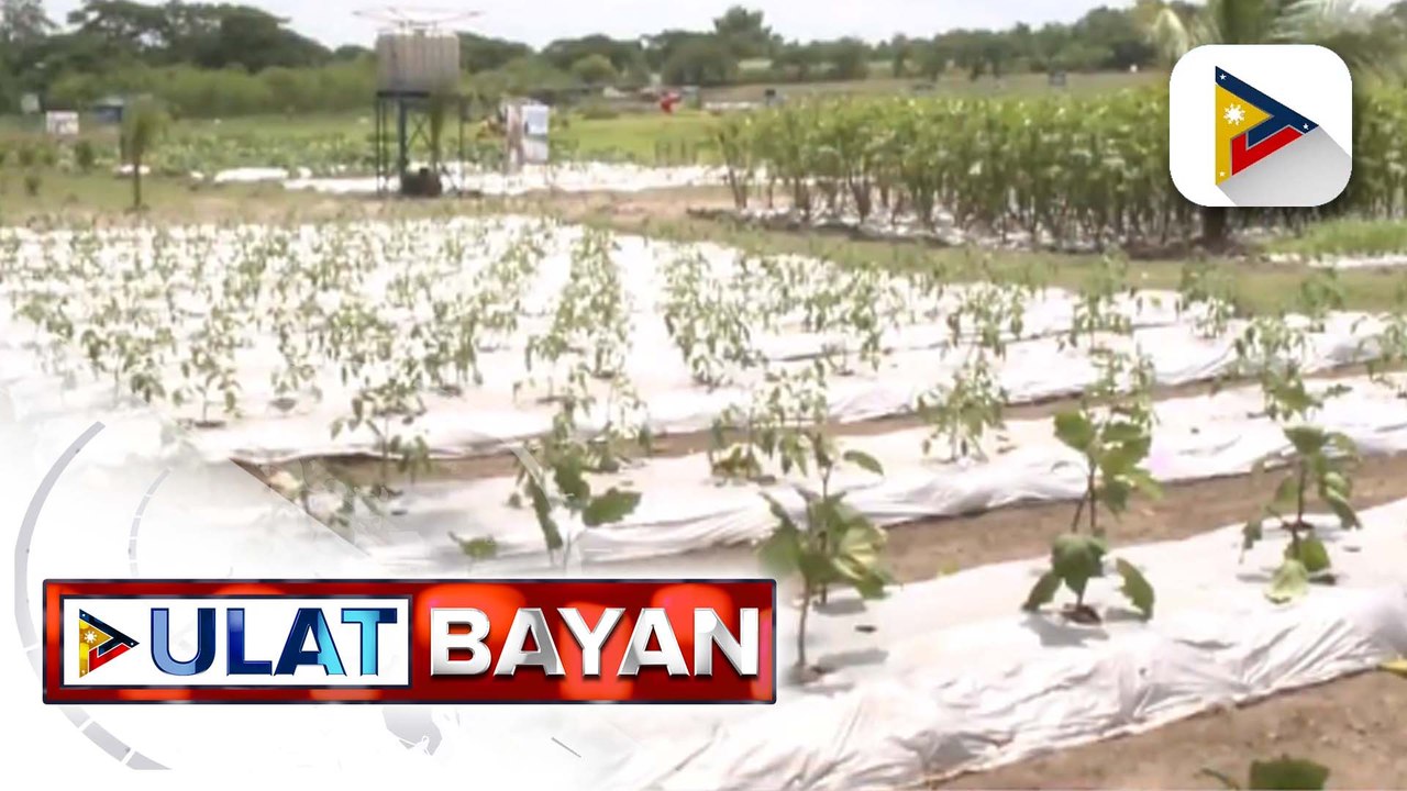 Proyektong mangangalaga sa kalikasan at tutugon sa epekto ng climate change, inilunsad ng Philippine Army at Tarlac Heritage Foundation