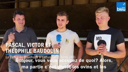 Découverte de la Ferme du Bouchage à Lathus St-Rémy (86)