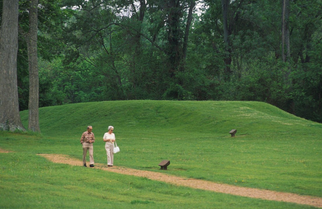 Walking 3,967 steps daily can prevent dying