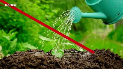 We Could Potentially Take a Drug to Regrow Teeth in the Near Future