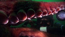 PBS Nature Encountering Sea Monsters