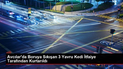 Avcılar'da Boruya Sıkışan 3 Yavru Kedi İtfaiye Tarafından Kurtarıldı