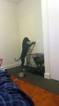 Luna se laisse sortir