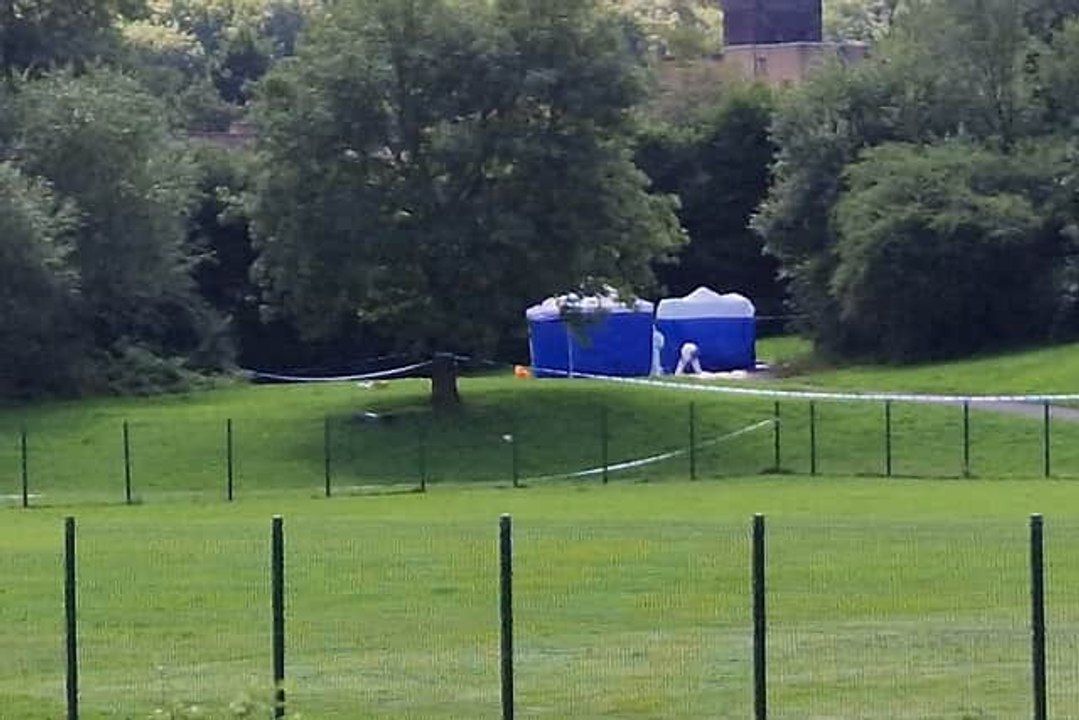 Stabbing Sheffield murder Shortbrook Close: Man stabbed to death on bridge near to Westfield neighbourhoodarry