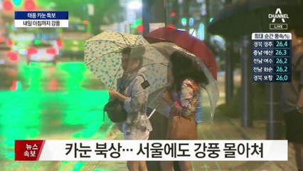 아침까지 강풍 ‘뒤끝’…현수막 걷어 묶는 등 피해 대비해야