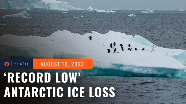 No quick fix to reverse Antarctic sea ice loss as warming intensifies – scientists