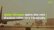 Qatar Airways opère des vols d'avions vides vers l'Australie