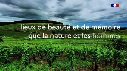 Politique des sites en France