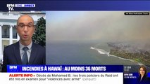 Incendies à Hawaï: au moins 36 morts et 11.000 touristes évacués