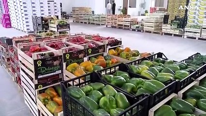 Скачать видео: Caro-prezzi: estate nera per l'ortofrutta