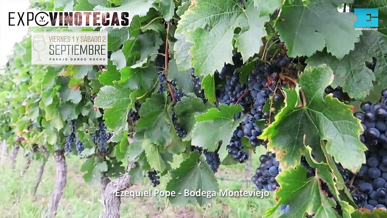 Expo Vinotecas Bodega Monteviejo
